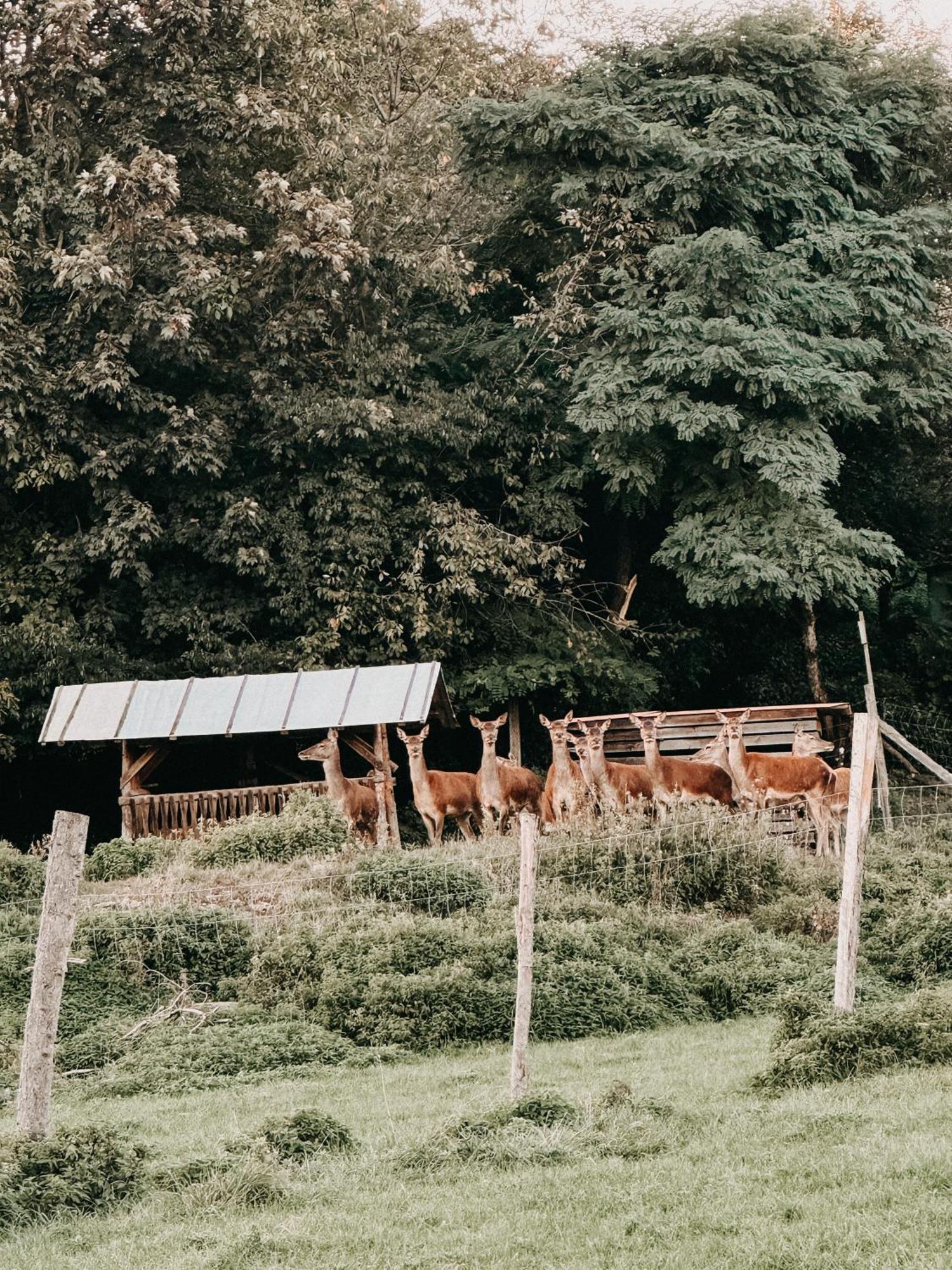Exklusives Apartment Mit Bergblick Steinhoring Zewnętrze zdjęcie